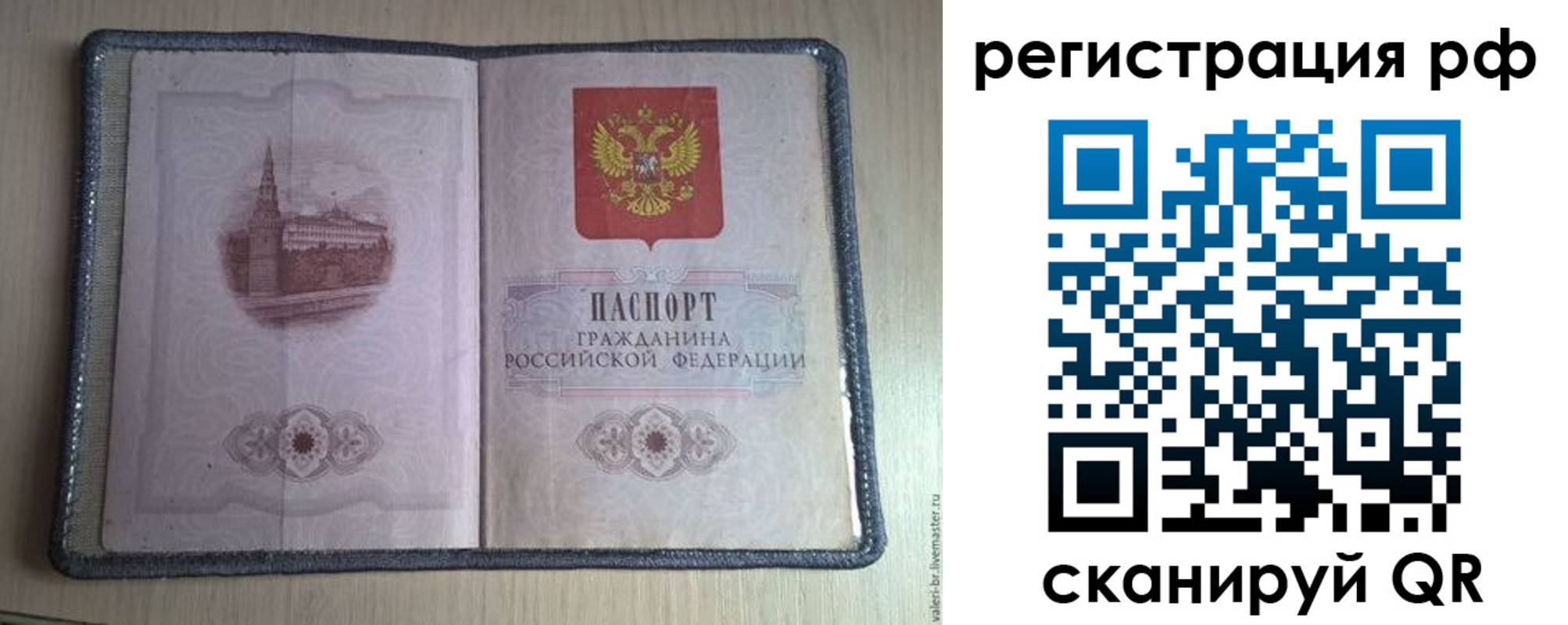прописка поиск в Красном Куте