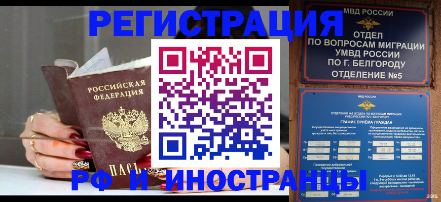 прописка в Красном Куте
